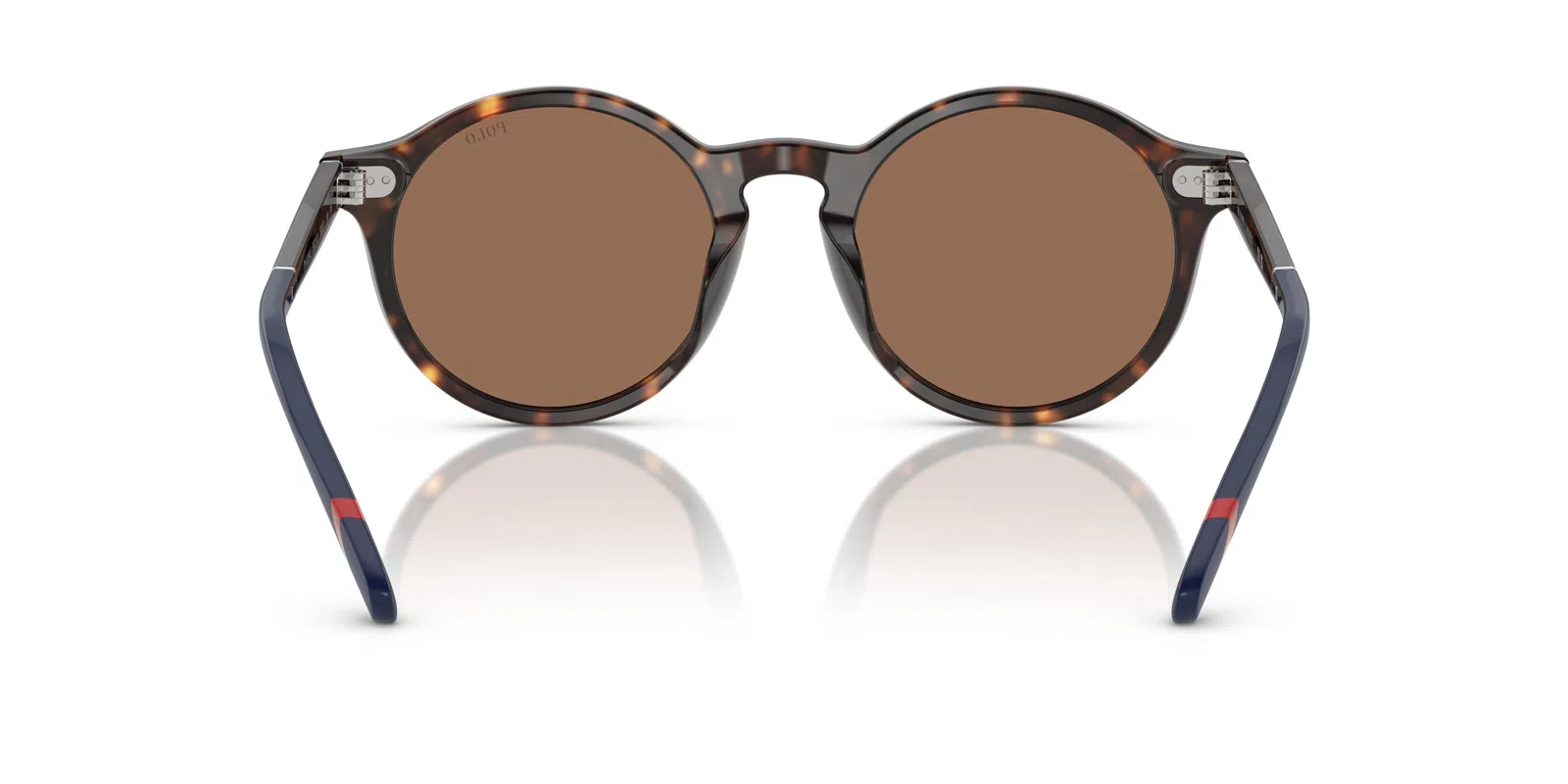 Polo 4204U Sunglasses - view 35